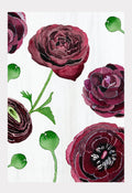 Art Print: Black Ranunculus on Snow
