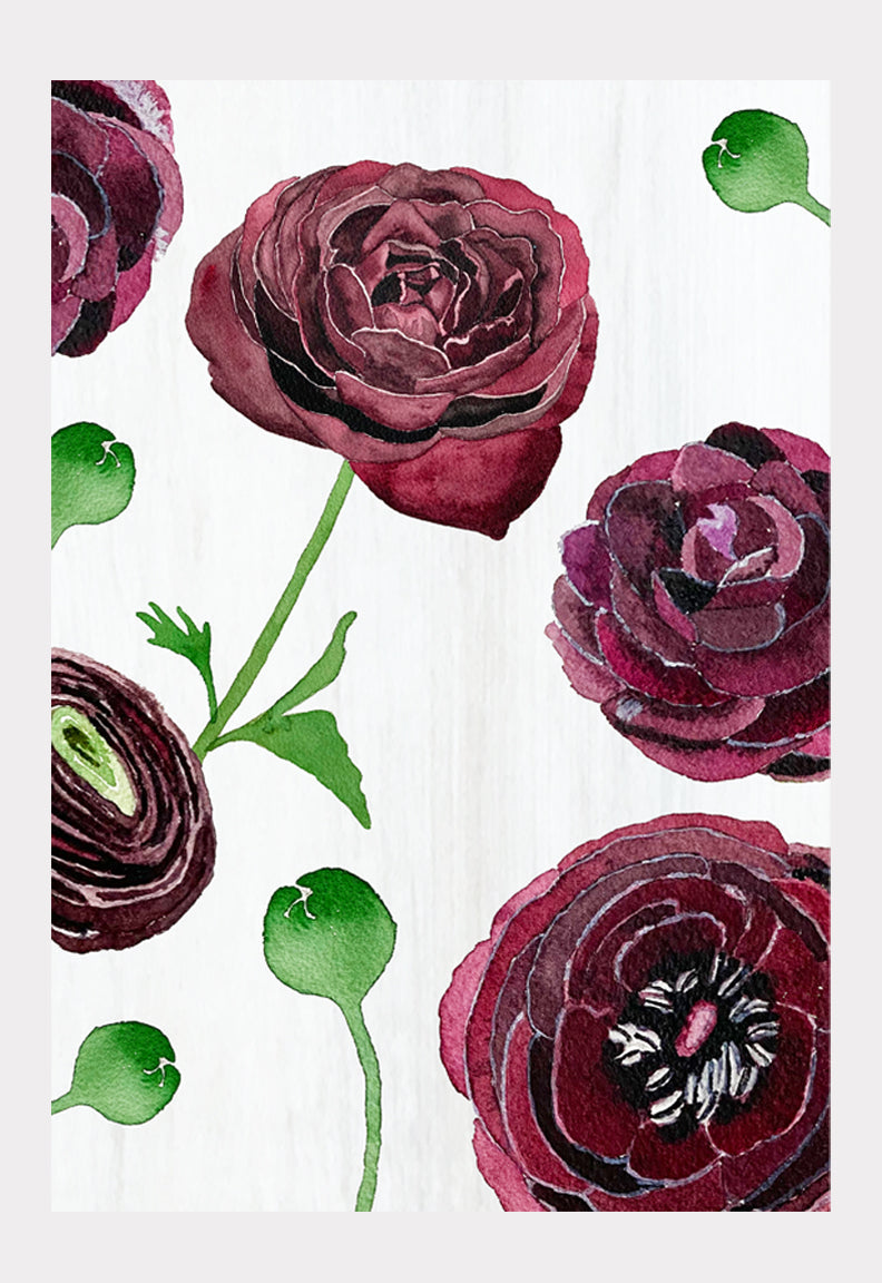 Art Print: Black Ranunculus on Snow