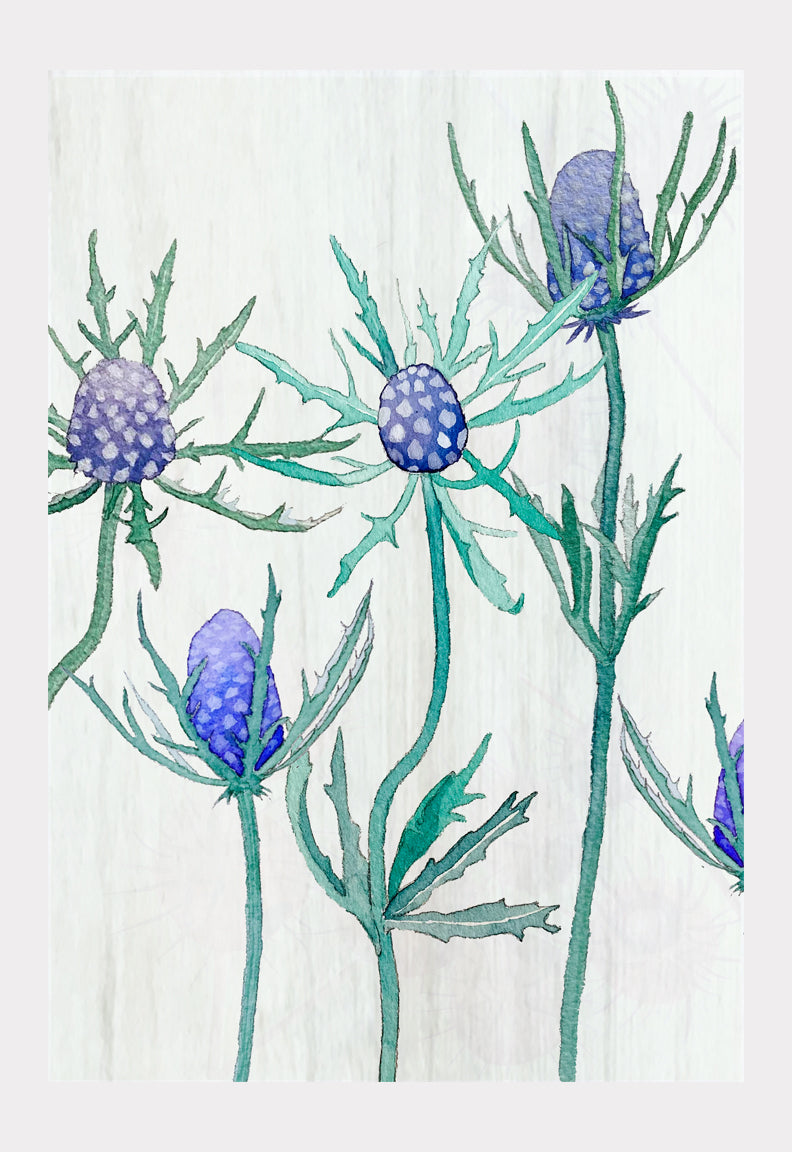 Art Print: Purple Thistle on Snow