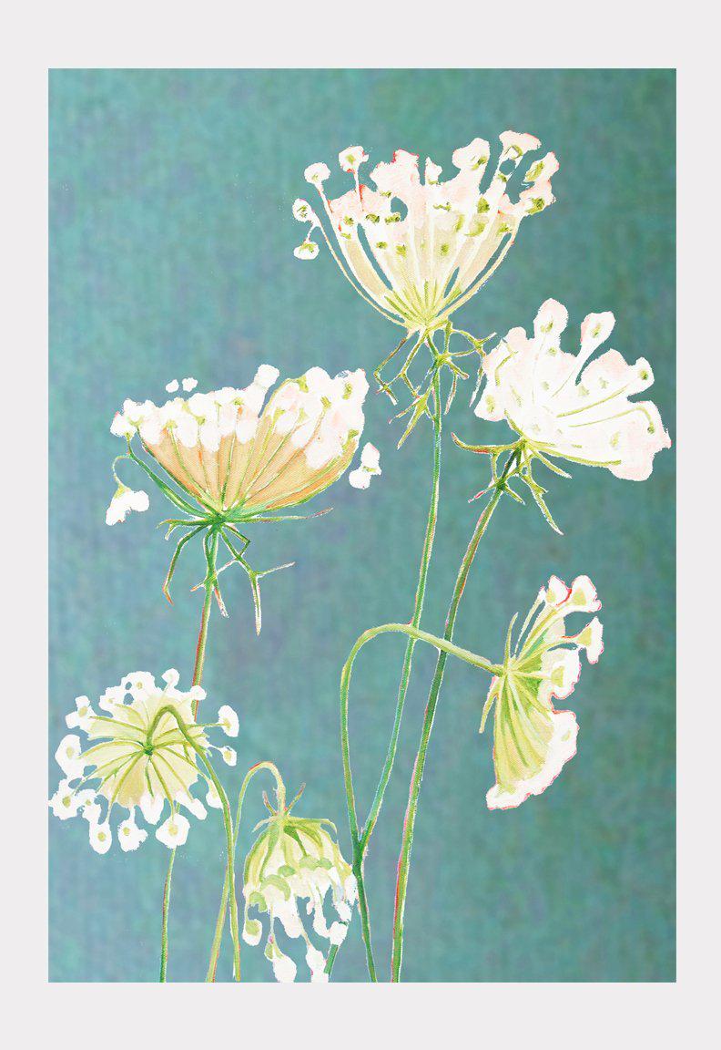 Art Print: Queen Anne's Lace on Teal