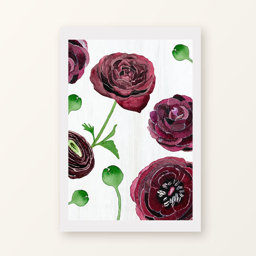 Black Ranunculus on Snow unframed art print with a white border, shown flat on a plain background